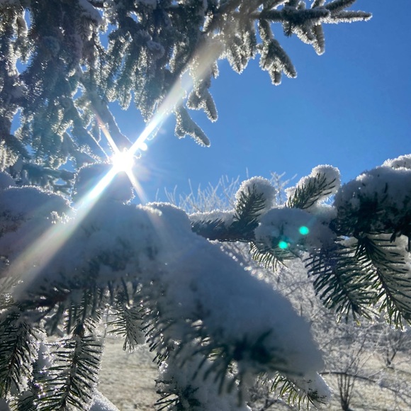 Meet your Posher, Jami - Picture 1 of 1